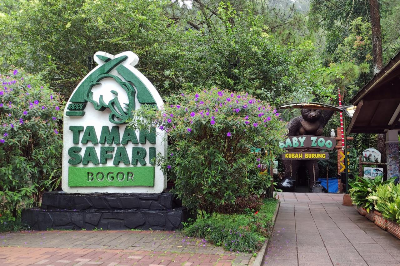 Tips Wisata ke Taman Safari Bogor Saat Liburan, Biar Makin Nyaman!